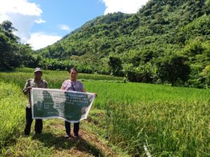IPM in Rice and Vegetable Crops